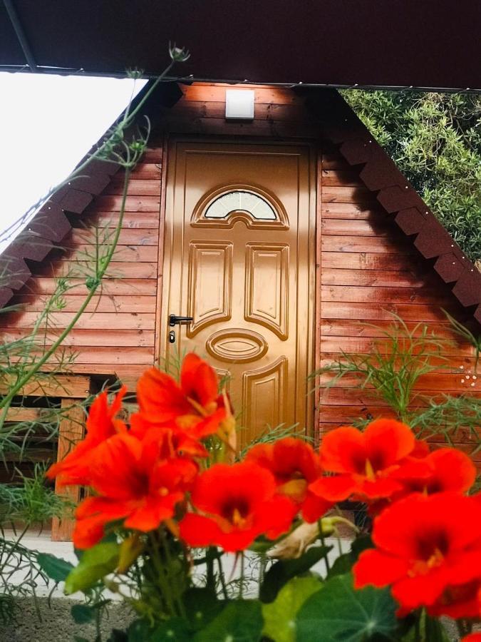 Violet Village Borsh Kültér fotó