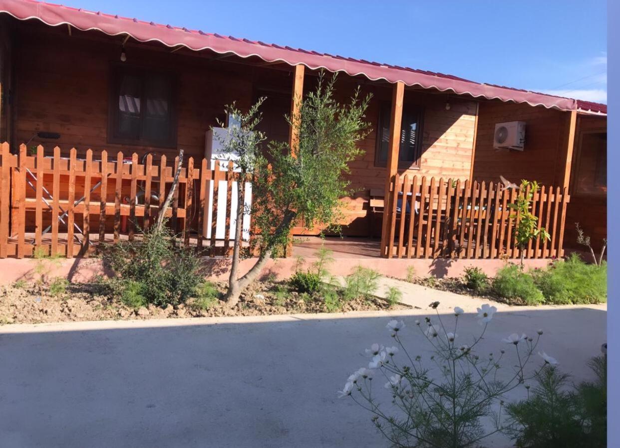 Violet Village Borsh Kültér fotó