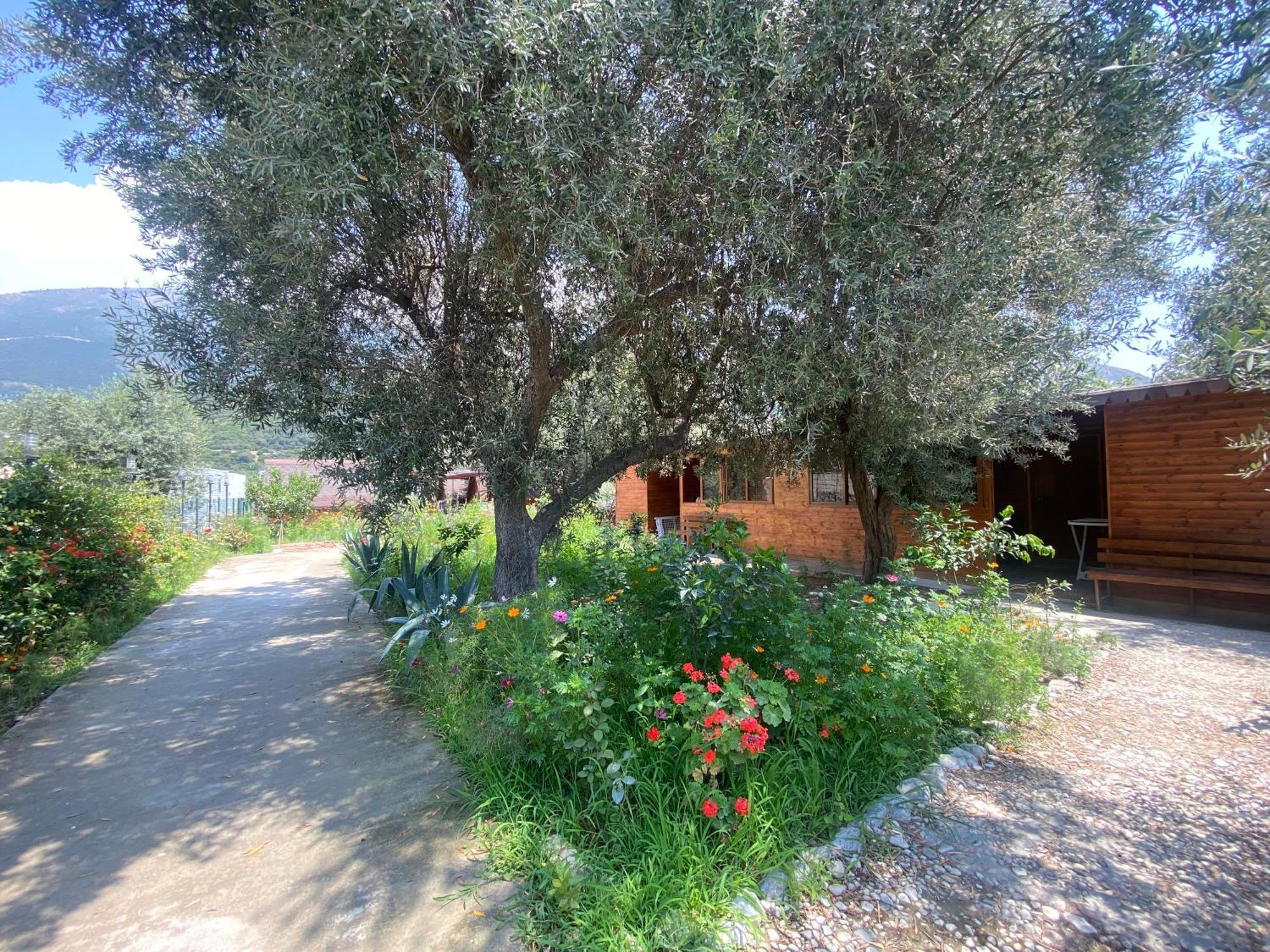 Violet Village Borsh Kültér fotó